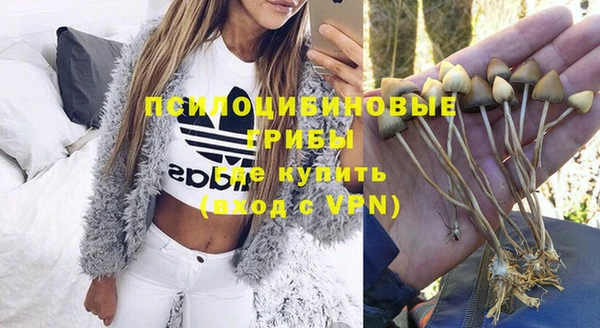 альфа пвп Богданович
