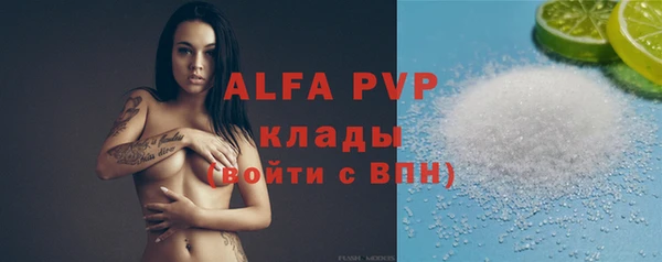крисы Богородицк